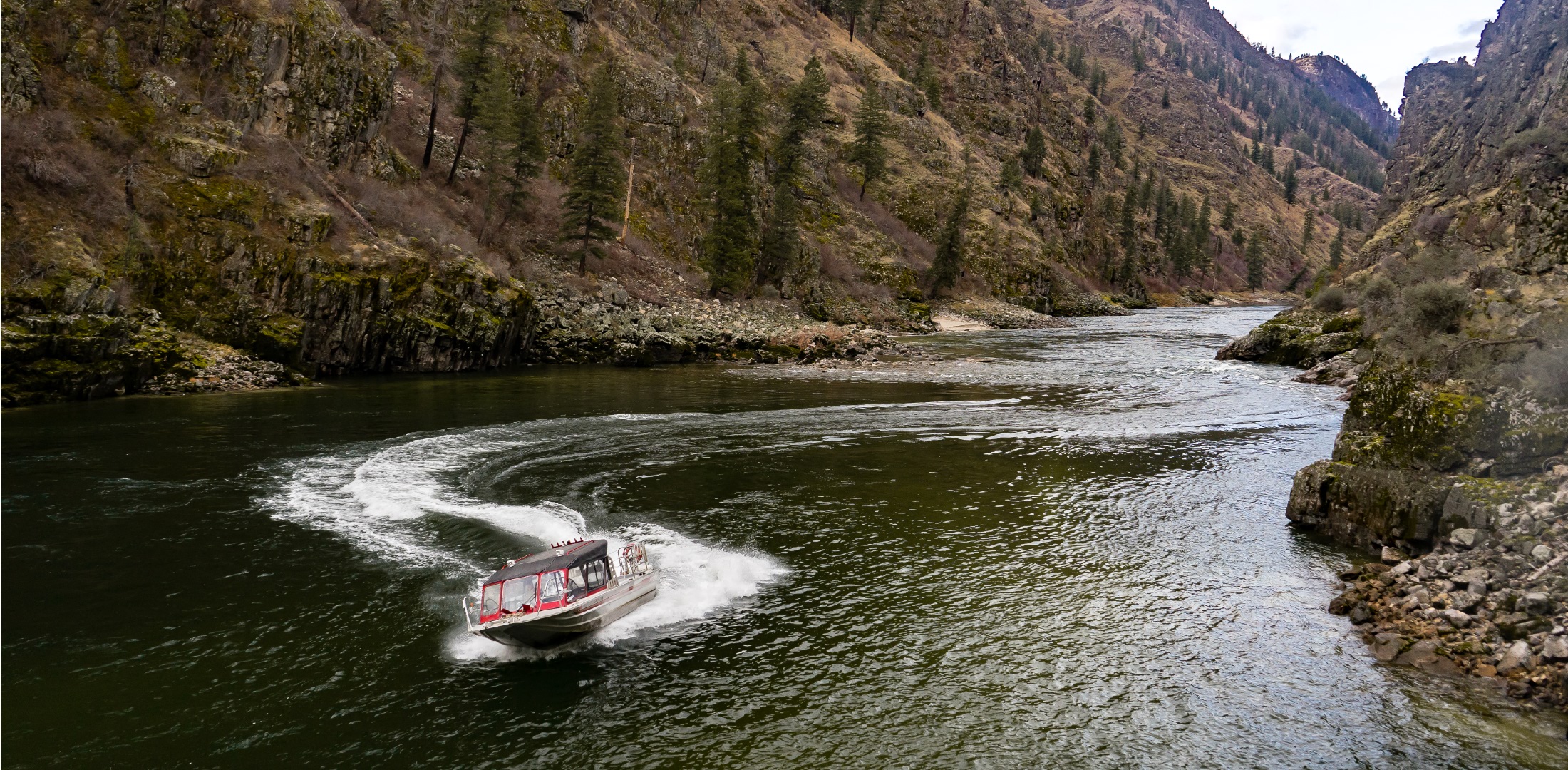 salmon river jet boat wilderness tours