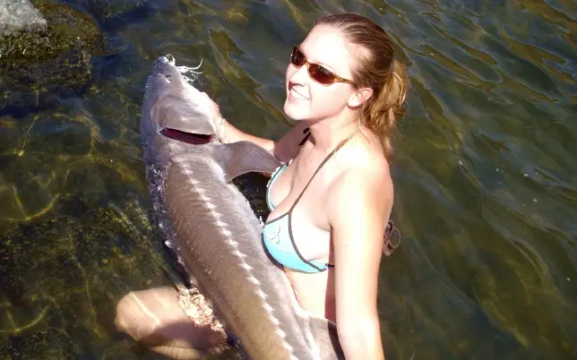 snake river sturgeon jet boat fishing