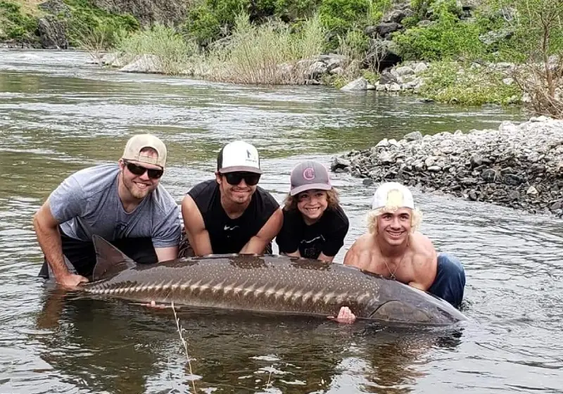 snake-river-sturgeon-slide