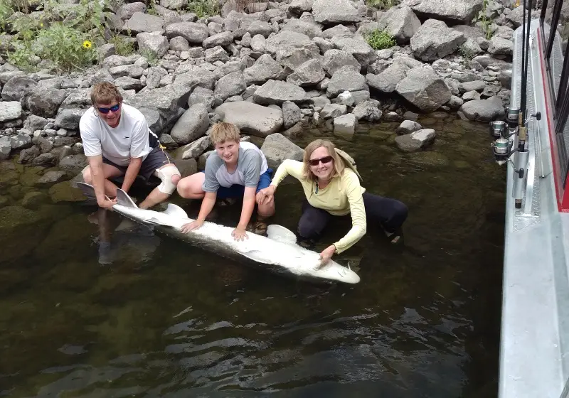 snake-river-sturgeon-slide2