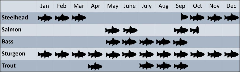 Fishing season and species chart
