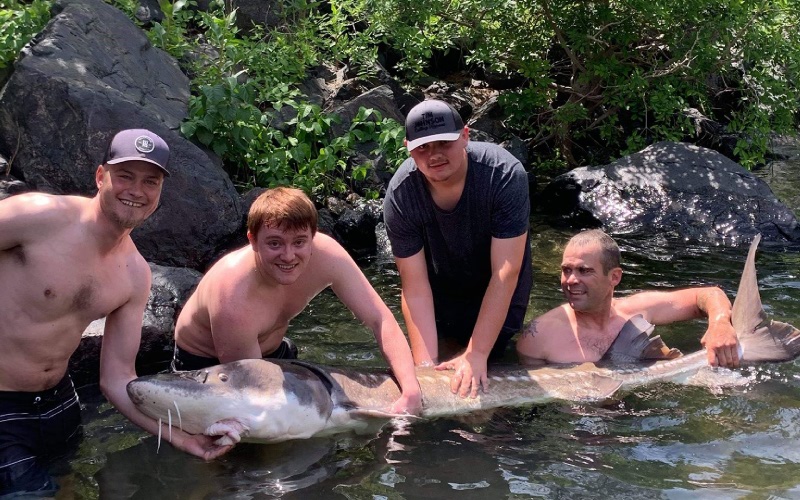 sturgeon caught in hells canyon on the snake river
