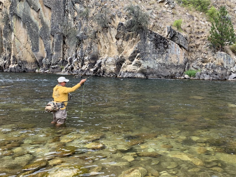 fly fishing for trout in idaho